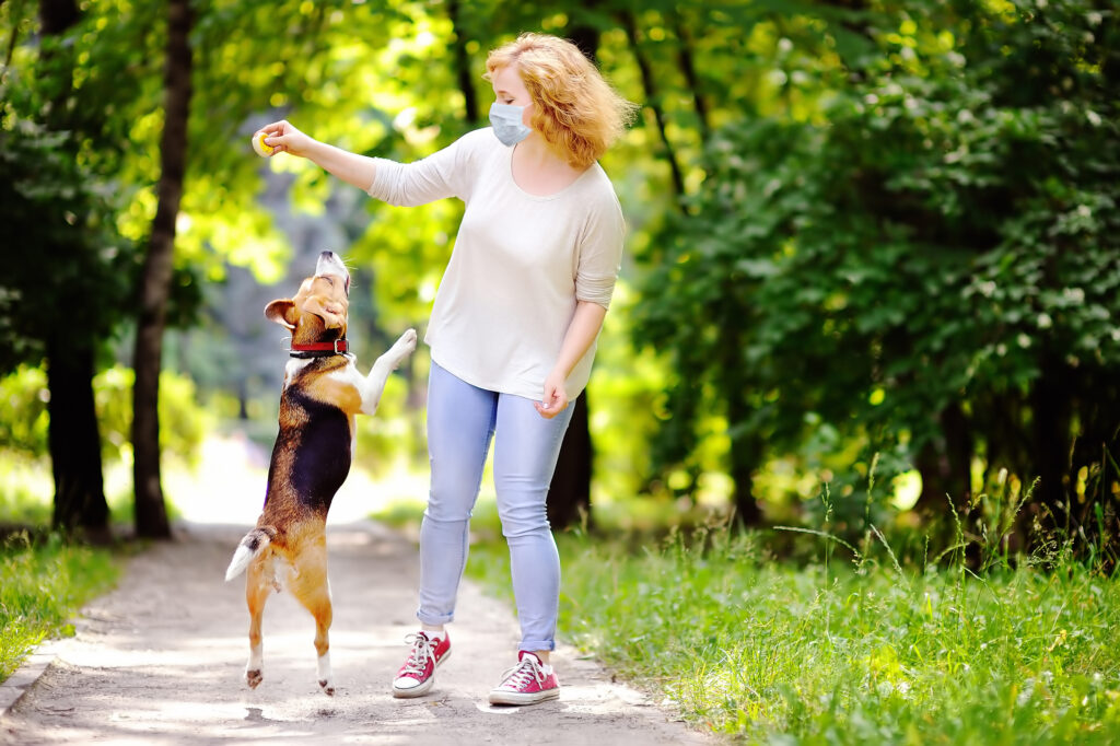 Frau mit Schutzmasek spielt im Park mit Ihrem Hund